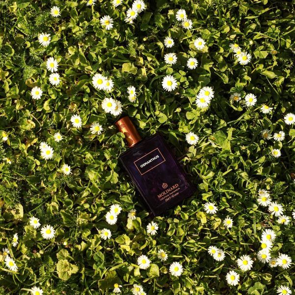 Парфум Molinard Osmanthus на розпив